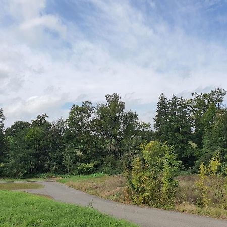 Landgasthof Biberenbad Ferenbalm Luaran gambar